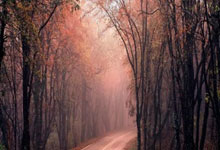 欧预赛赛场上球队犀利进攻,对手难以招架