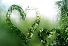 关键时刻球队大规模进攻,对手防线岌岌可危